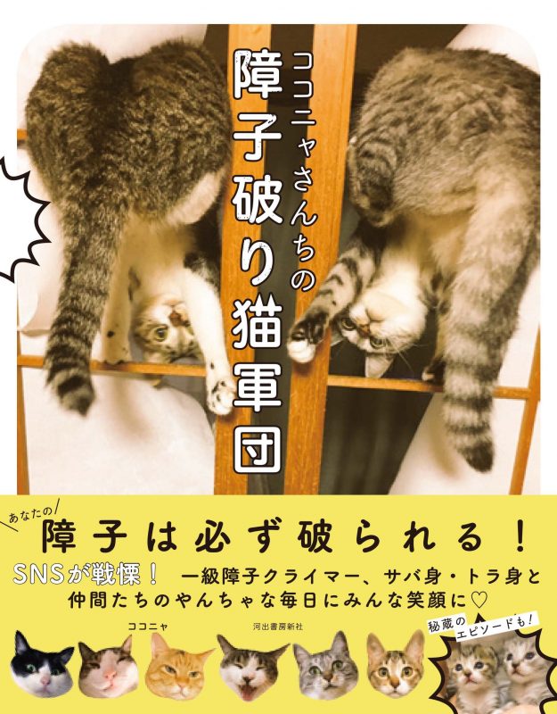 20匹目の「猫」を拾いますた [無断転載禁止]©bbspink.com	YouTube動画>3本 ニコニコ動画>1本 ->画像>960枚 